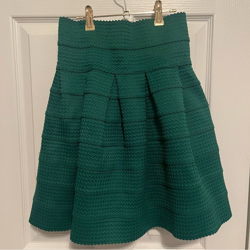 Anthropologie Girls from Savoy Textured  Pleated Skirt NWOT - Picture 3 of 6